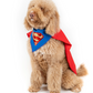 Super Dog Pet Costumes