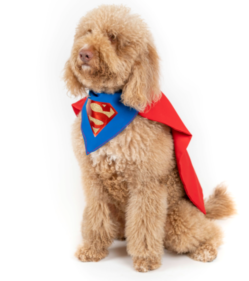 Super Dog Pet Costumes